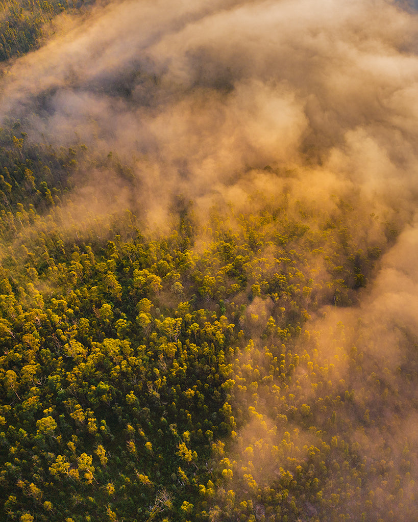 Fog in the valley