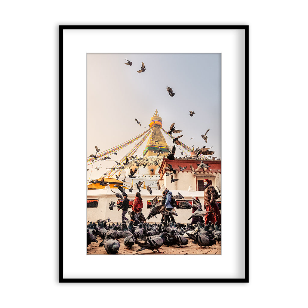 Birds of Boudha Stupa