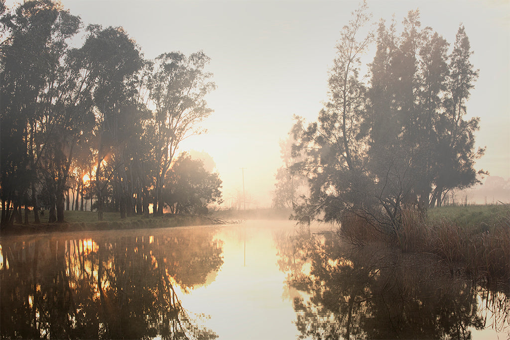 A Creek in Camden