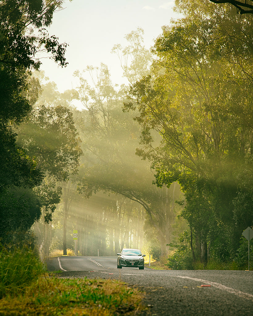 One foggy morning