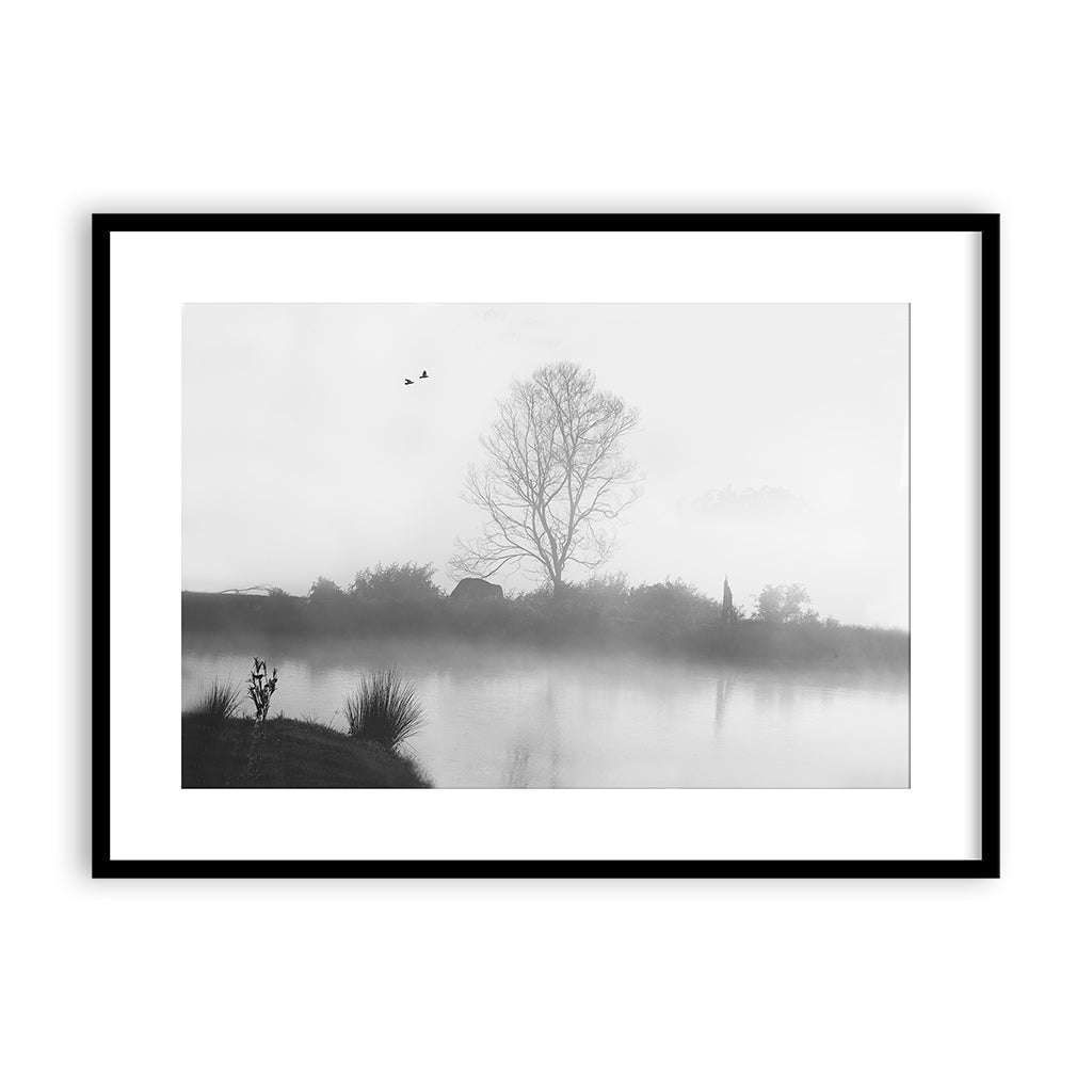 fog and the tree